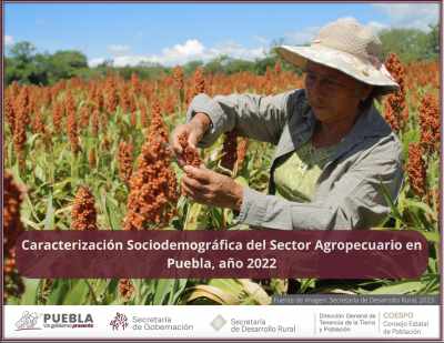 Caracterización Sociodemográfica del Sector Agropecuario en Puebla, año 2022