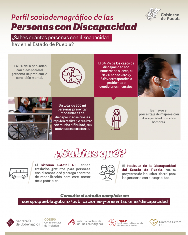 Perfil Sociodemográfico de las personas con discapacidad en el Estado de Puebla