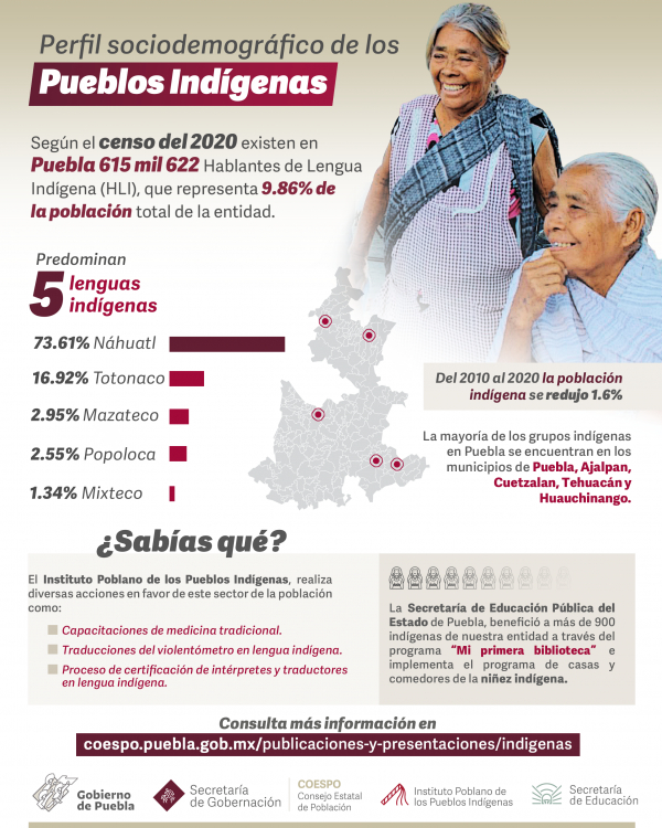Perfil Sociodemográfico de los Pueblos Indígenas en Puebla